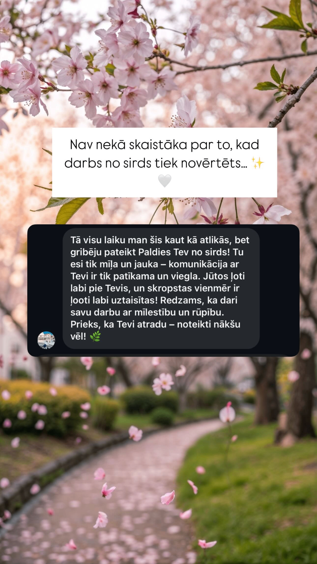 Klientes atsauksme — elly.lashes